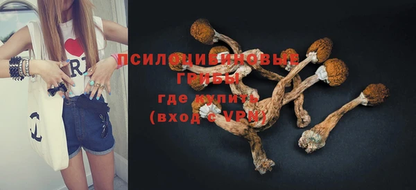 мдпв Балабаново