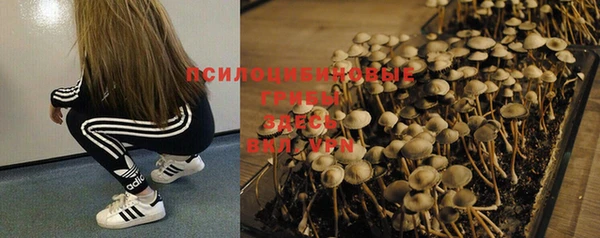 мдпв Балабаново
