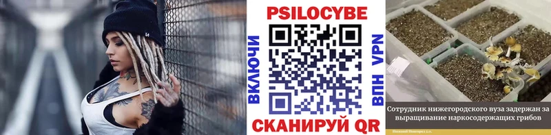 Купить где  Нерехта  Псилоцибиновые грибы MAGIC MUSHROOMS 